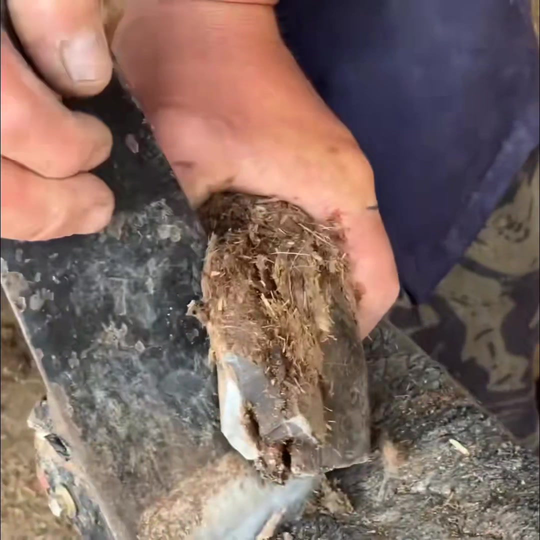 It's beautiful 😻 ️ wow amazing 😍🤩 | sleep eat fisheries | Facebook