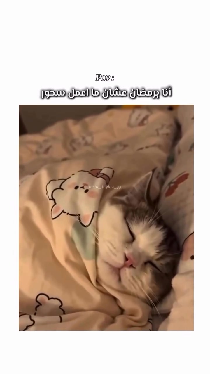 هم عدكم هيج سوو مينشن الهم😂😂 #اكسبلور #شهررمضان #ريلزات | ازياء الأغا ...