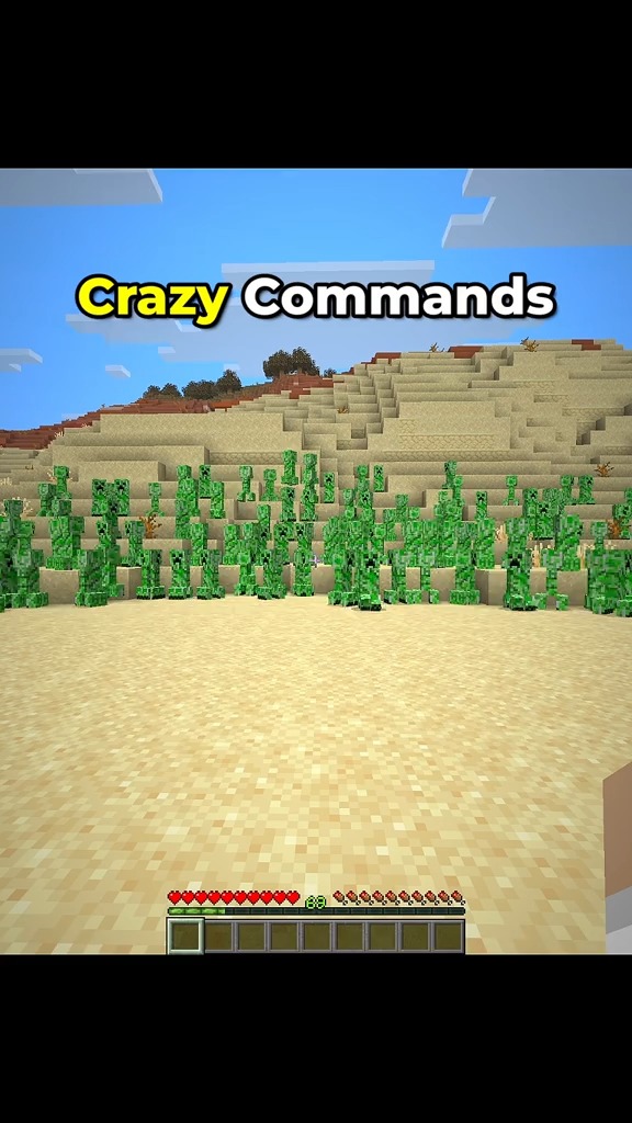 Minecraft Insane Commands Moment 💀 #minecraft | Solvixreal | Facebook