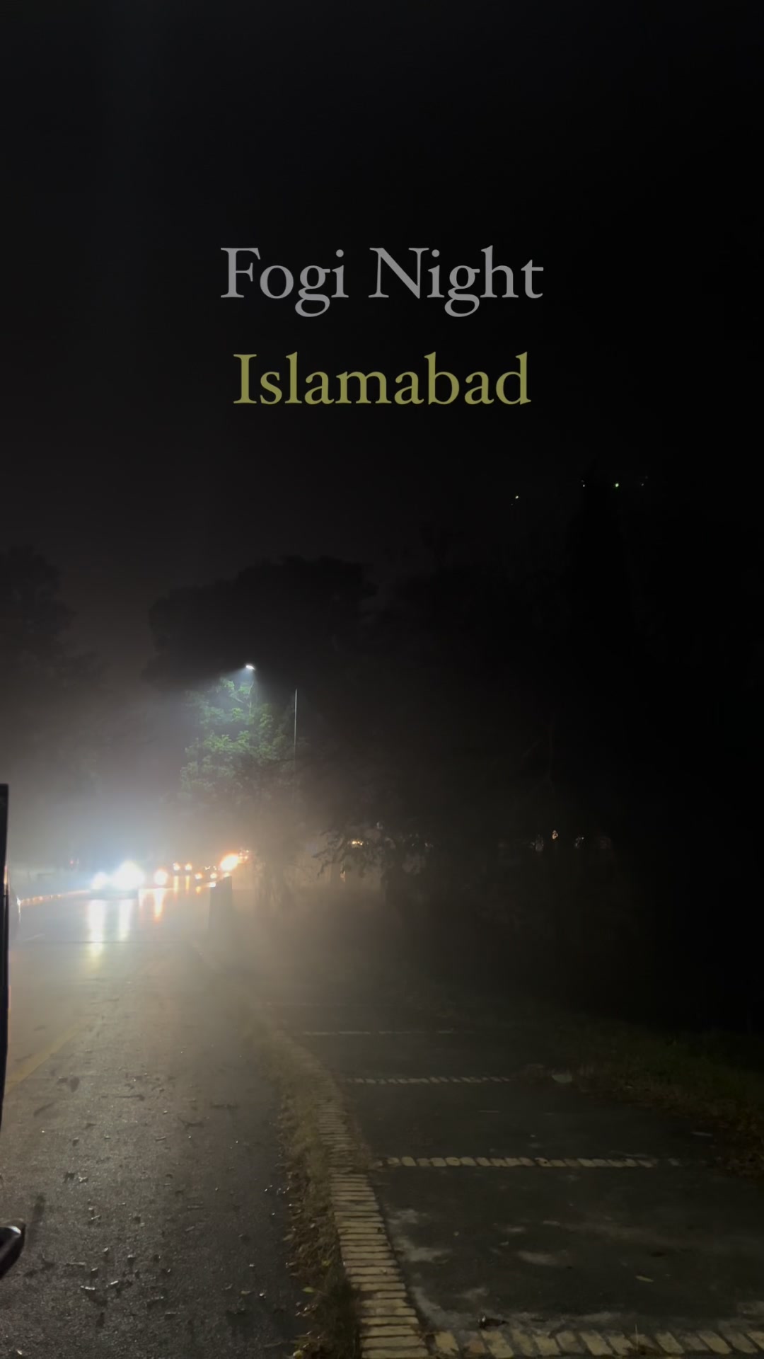 Fogi night🌫️ ️ #greenislamabad #fog #foggyweather #January #Pakistan ...