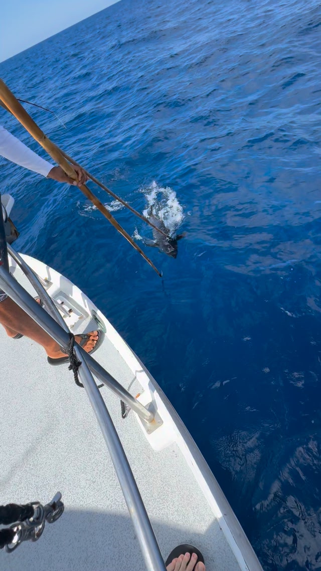 Another day, more monster tuna! Marla’s Sportfishing sets the standard ...