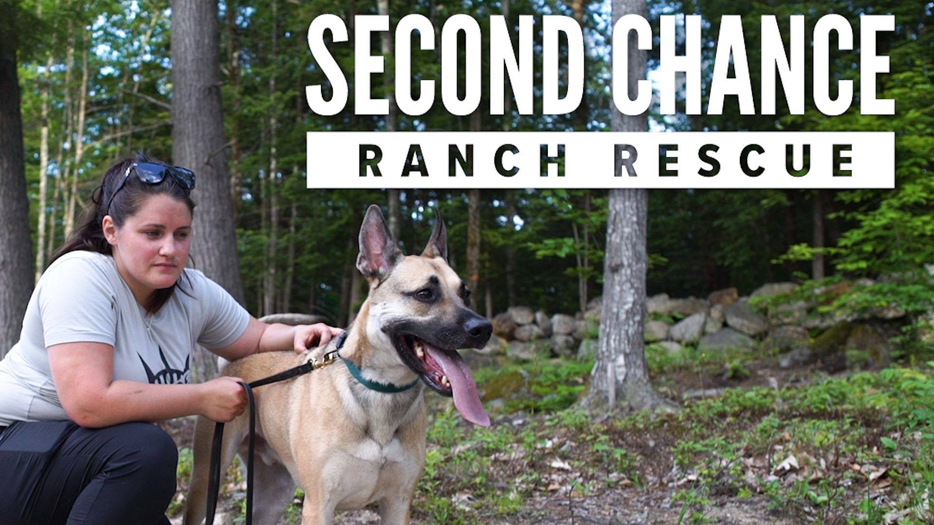 Second Chance Ranch Rescue New Boston, NH | Keller Nunley | Facebook
