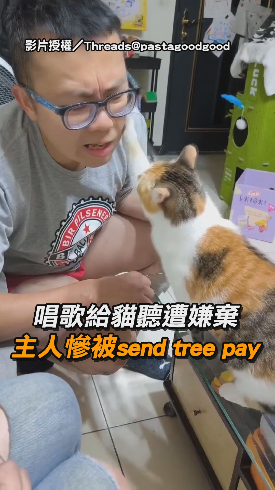 🐱：啊不是你叫我巴你六下的ㄇ 【唱歌給貓聽遭嫌棄 主人慘被send tree pay】 影片授權／IG @pastagoodgood ...