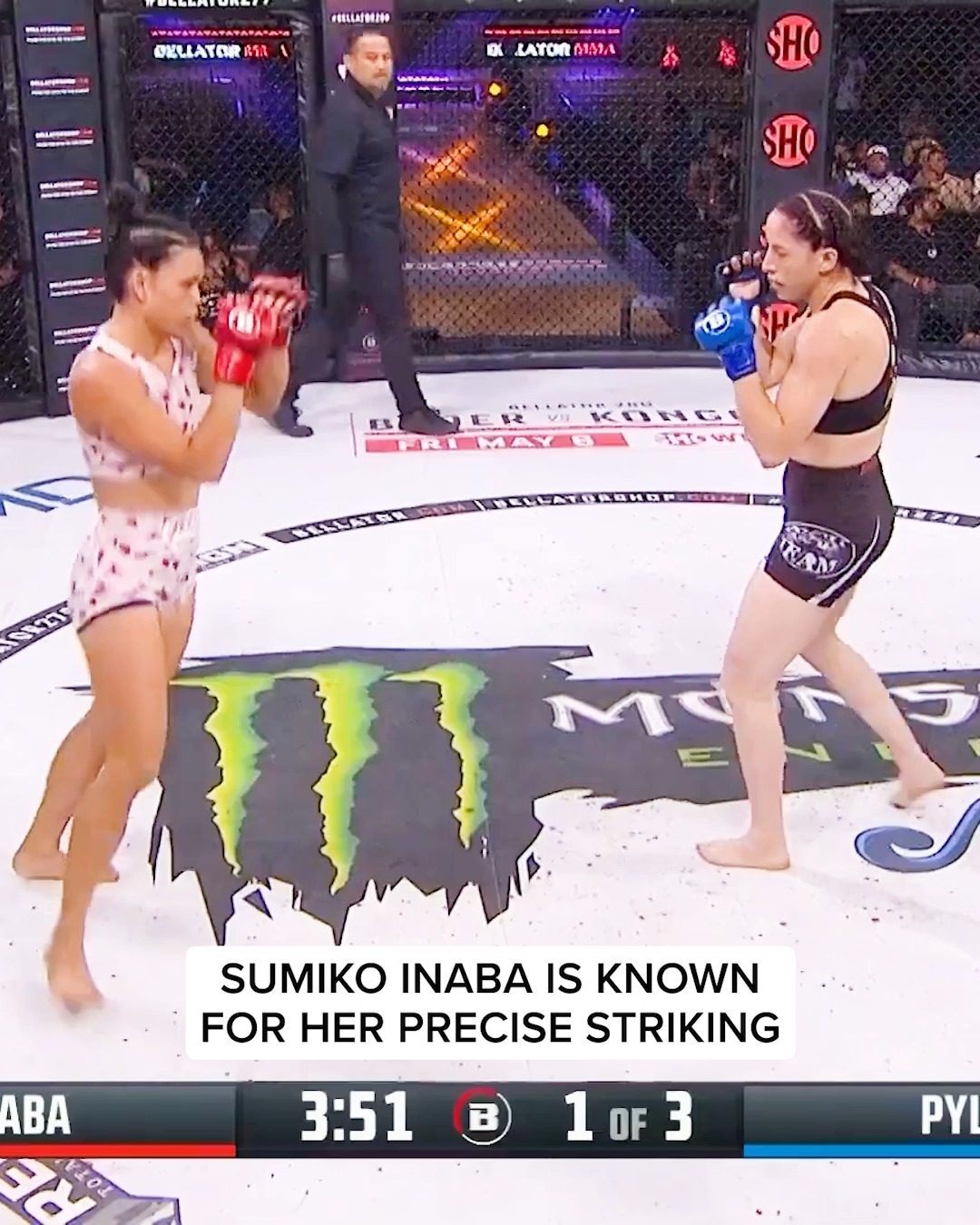 Bellator MMA (@BellatorMMA) • Facebook