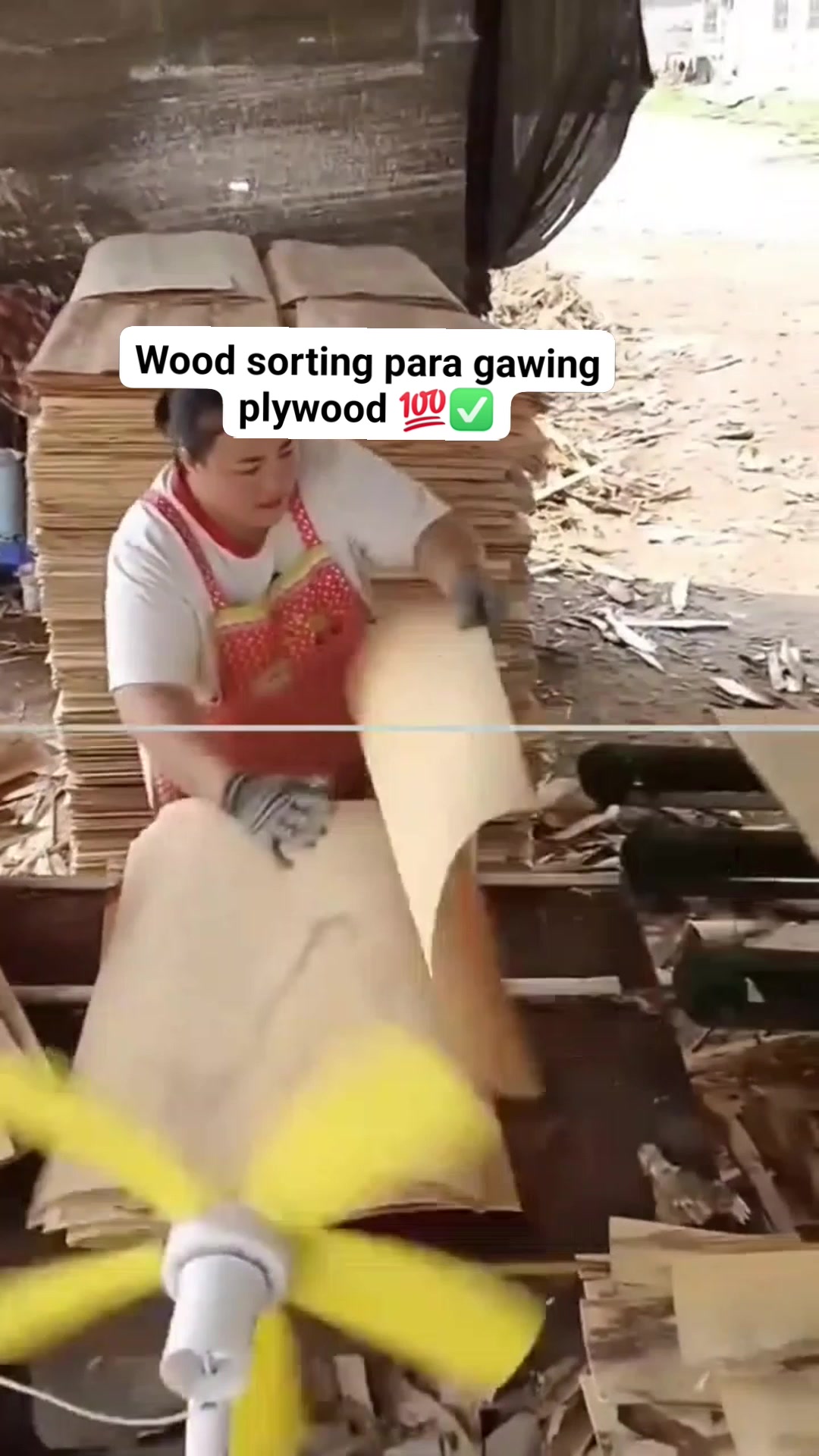 Wood sorting para gawing plywood #sorting #plywood #wood #factory ...