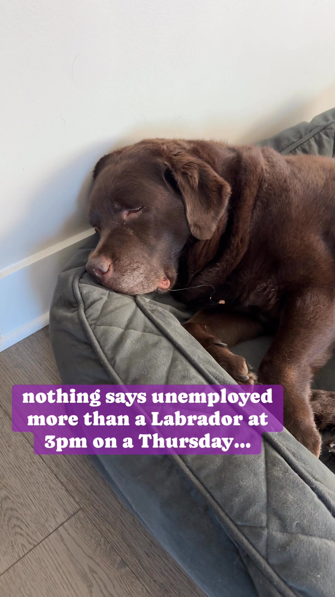 I’m clearly NOT working 9-5 to keep this household running, so it’s a ...