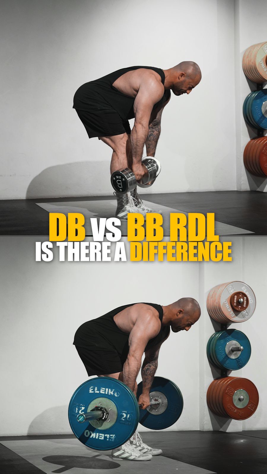 Dumbbell RDL vs Barbell RDL – Here’s the Truth If you are doing them ...