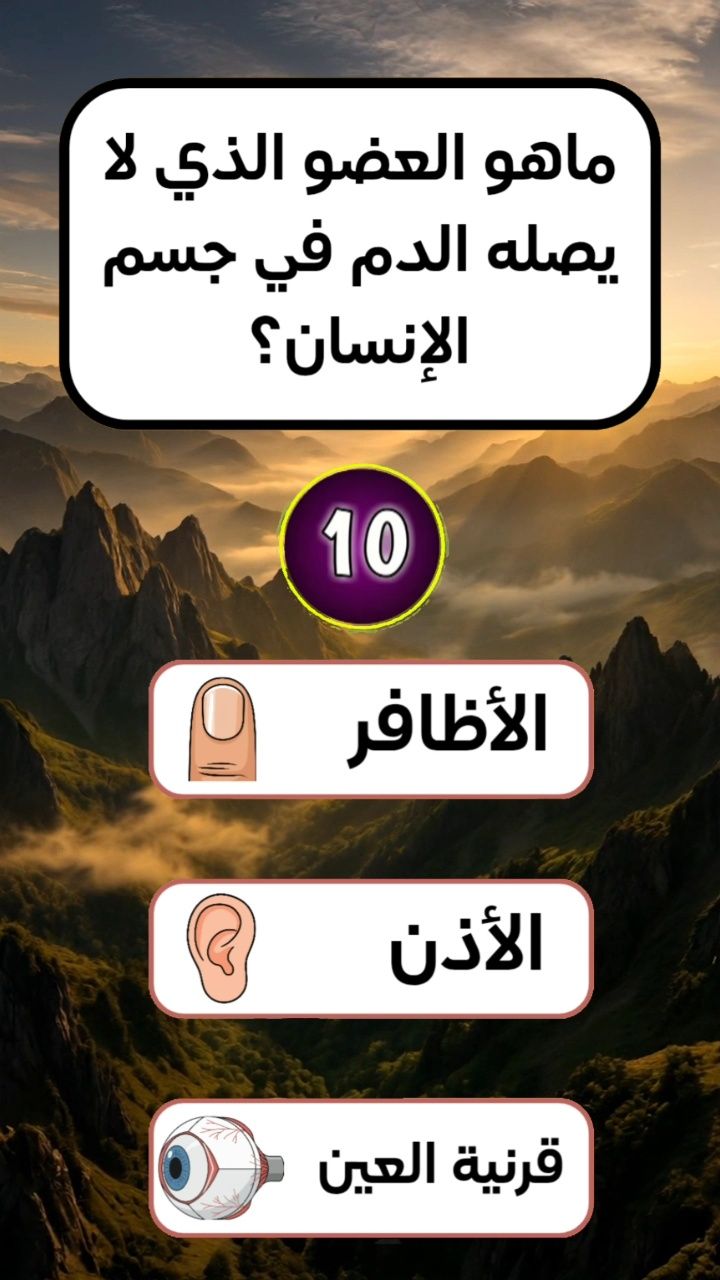 ما هو 🤔 | معلومات عامة | Facebook