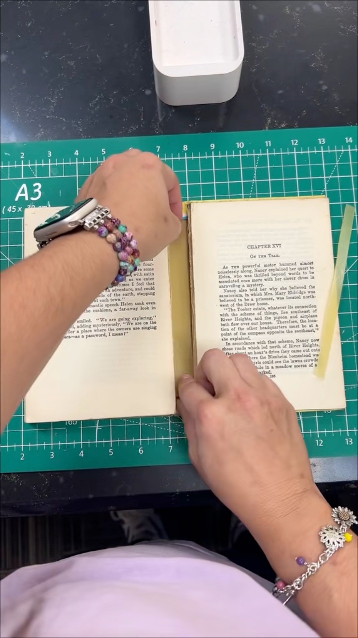 My best friend picked this up for $3 at a used book sale and asked if I ...