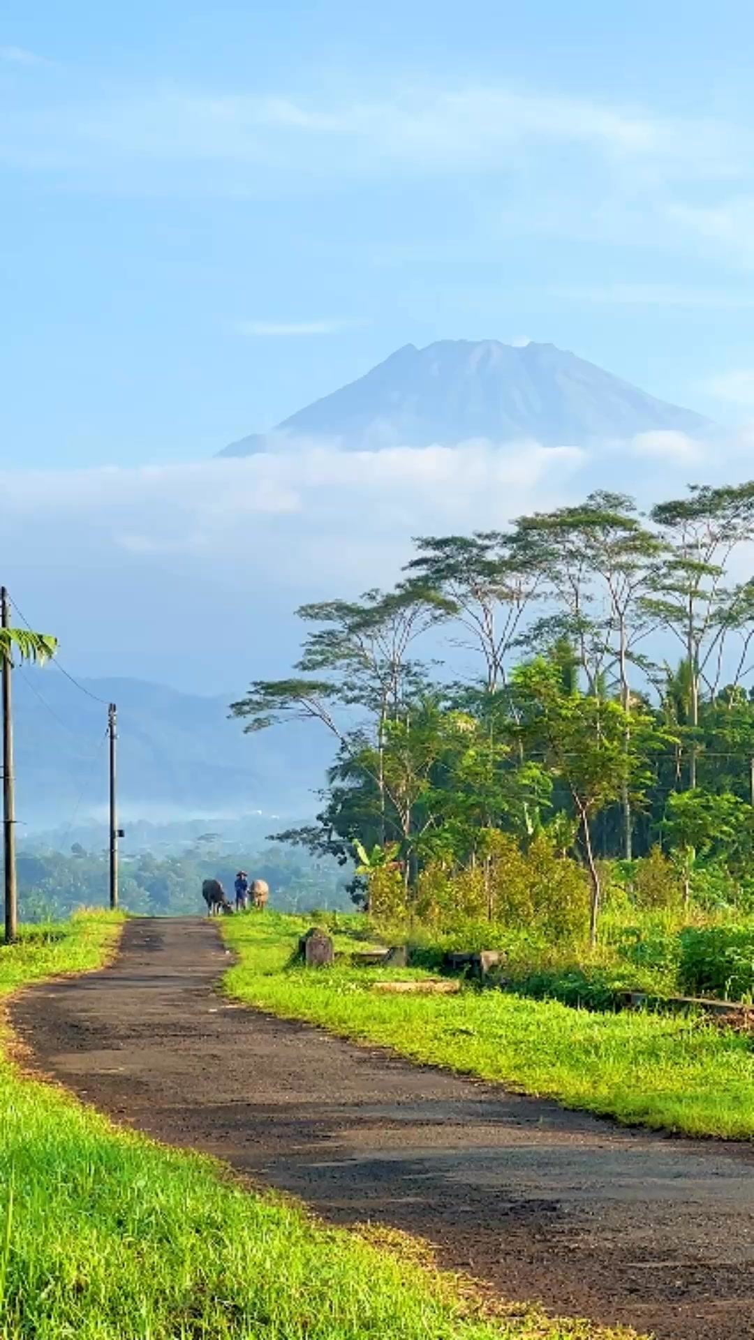 A quiet beauty unfolding. Rural Indonesia #NatureReels # ...