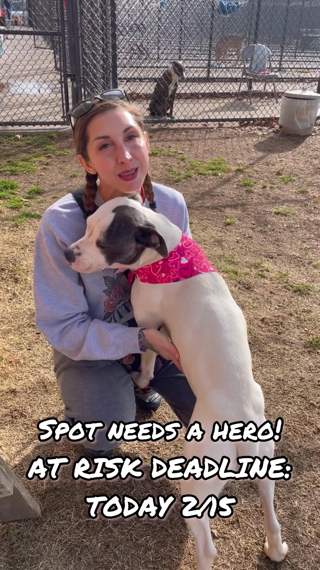 Sharing this post this baby is looking for a good living home if