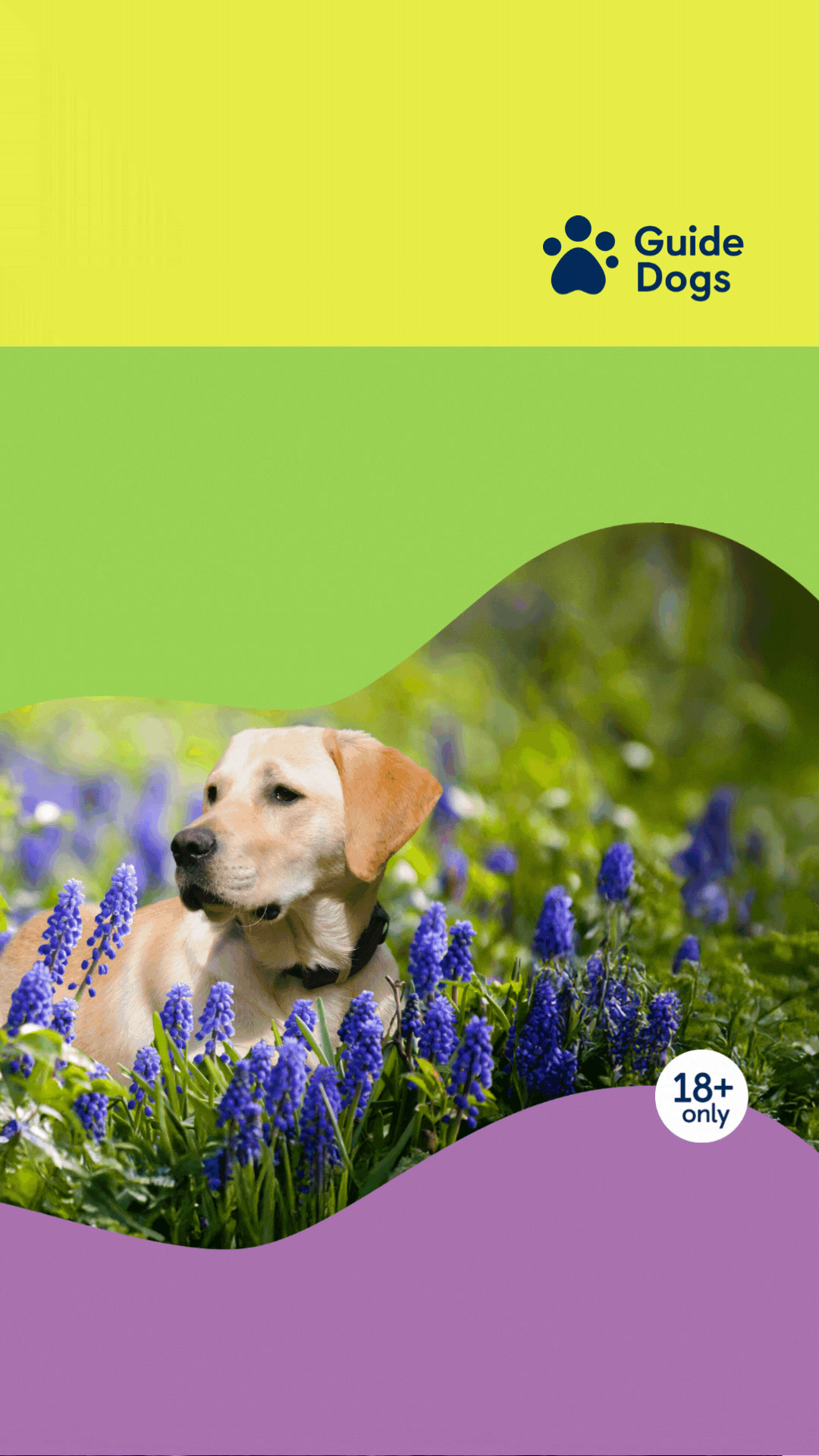 Could you win big this spring? Play our Raffle for your chance to win ...