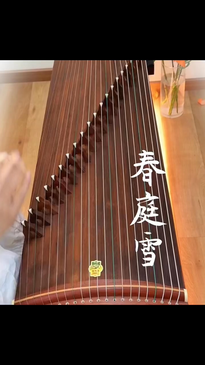 春庭雪落無聲，古箏低吟，指間流轉，似夢似醒一曲幽情在人間流連 #桃園藝文特區#古箏 演出/課程/交流line: @teo2209z #桃園二胡 ...