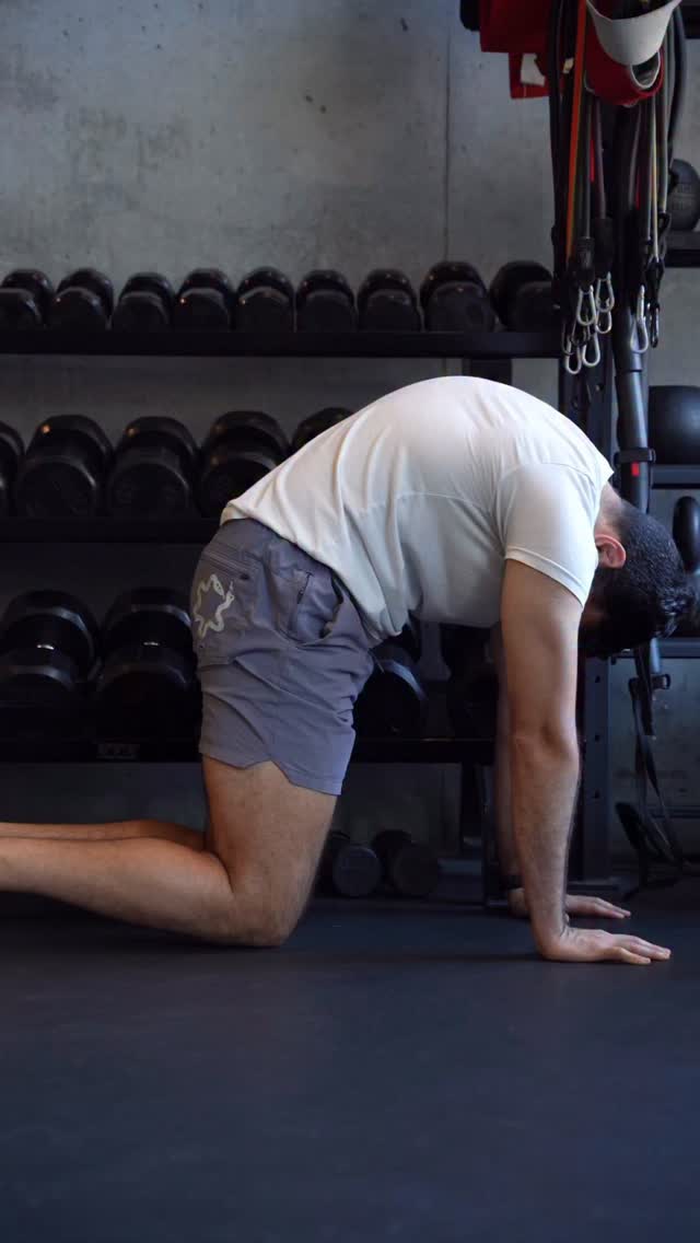 A weak, tight, achy lower back can often be fixed by mobilizing the ...