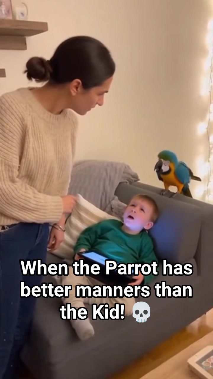 A closer look at Respect Winner Popular Features Macaw