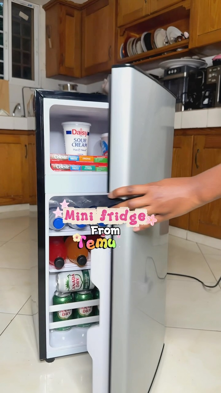 Temu Mini Fridge | Look How Much Fits Inside 😍 I stocked this