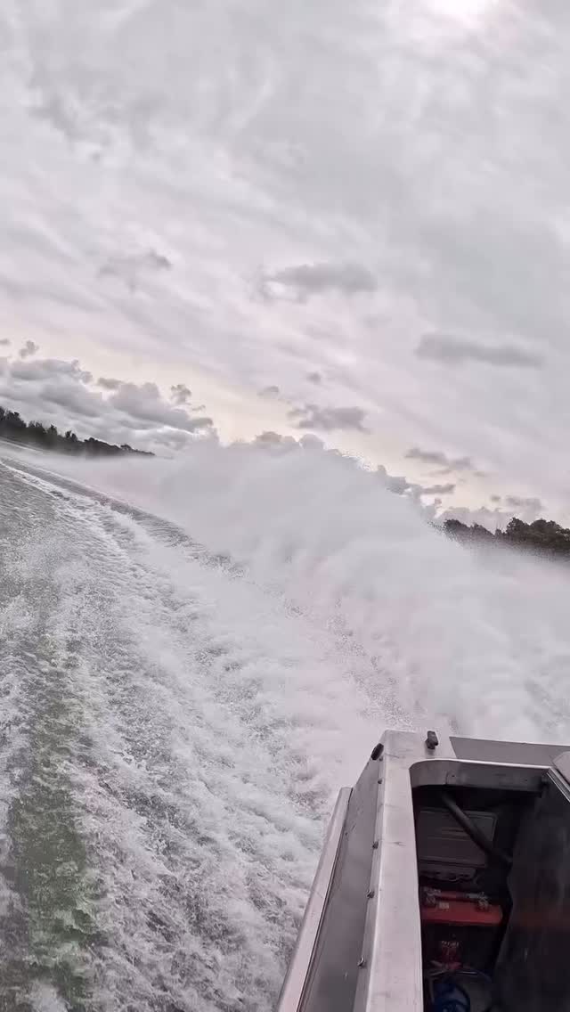 When you get distracted by the roost 🚤💦💦 🫣 The LS1 / SJ210 combo is a ...