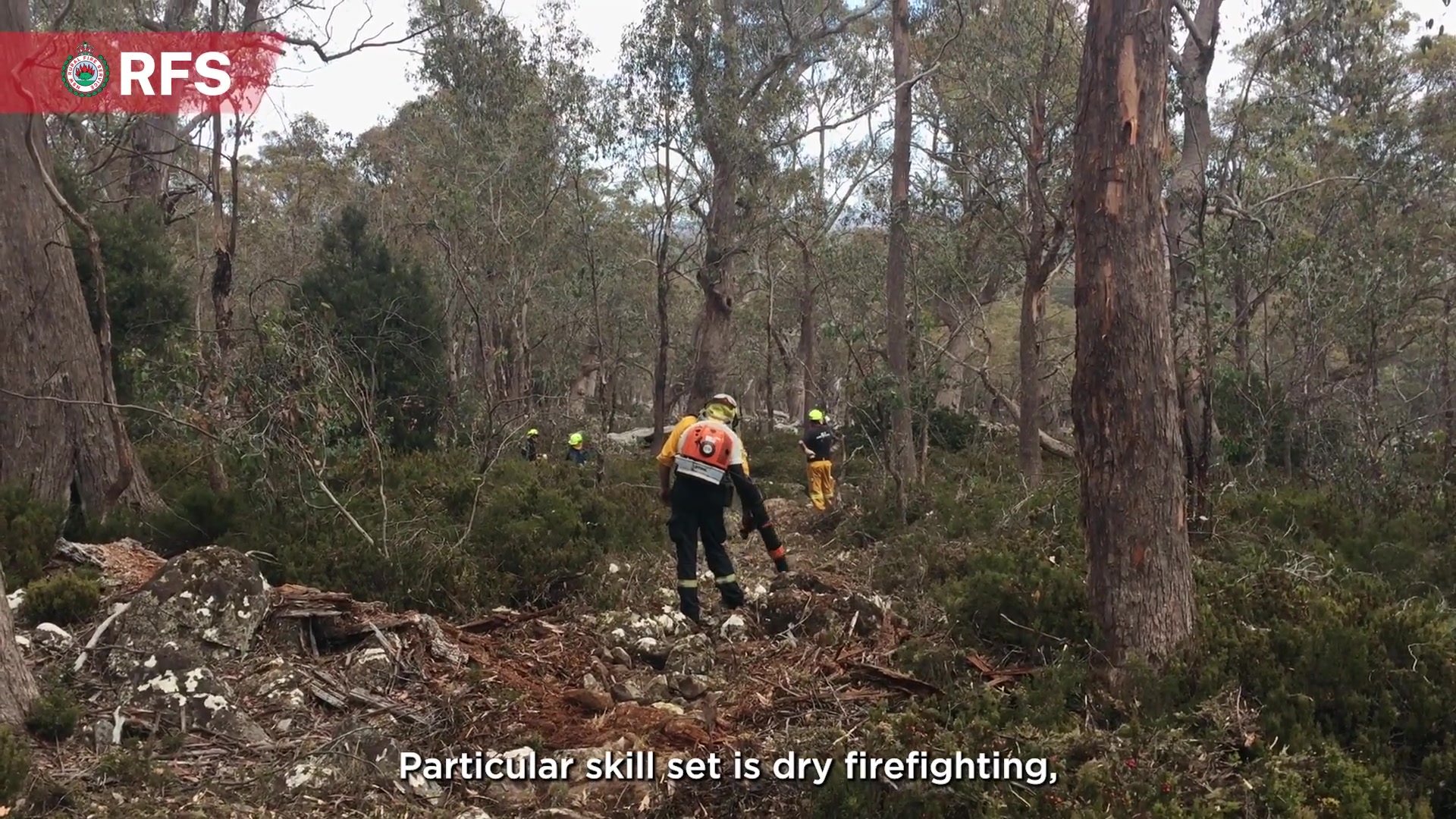 Did you know lightning strikes often ignite fires in remote and ...