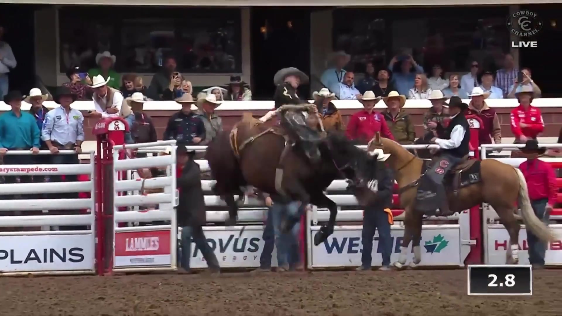 91.5 points for Dawson Hay!!🔥 The 2023 Calgary Stampede champion leads ...