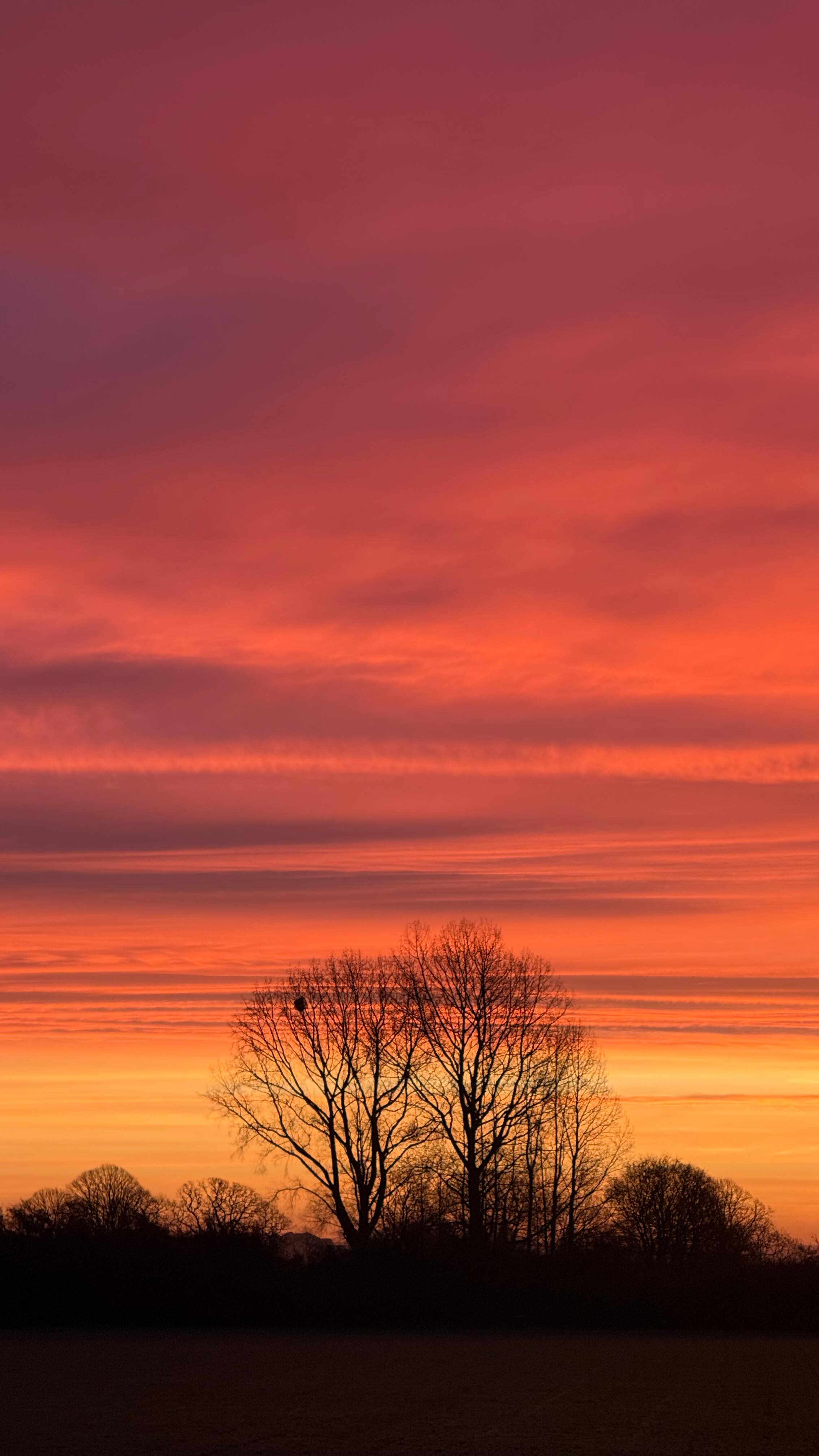 A spectacular sunrise this morning! #cotswolds #thecotswolds #sunrise # ...