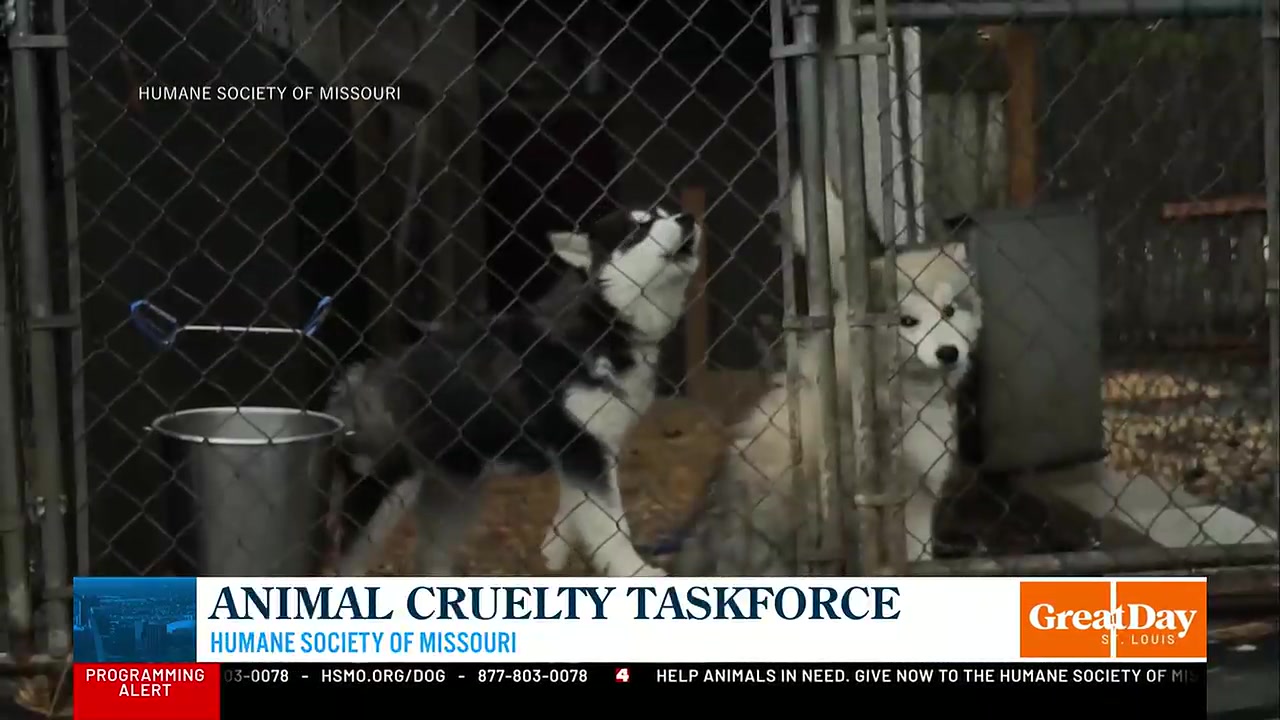 All morning, we have been highlighting the incredible work the Humane ...