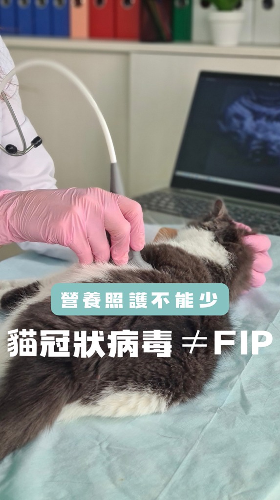 🐾新教材リリース🐾】 北里大学 獣医学部 獣医学科 獣医伝染病学研究室