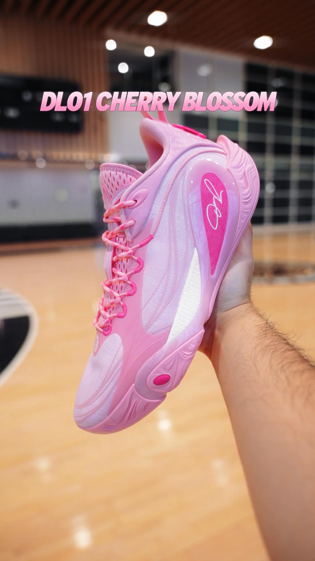 Dlo 1 