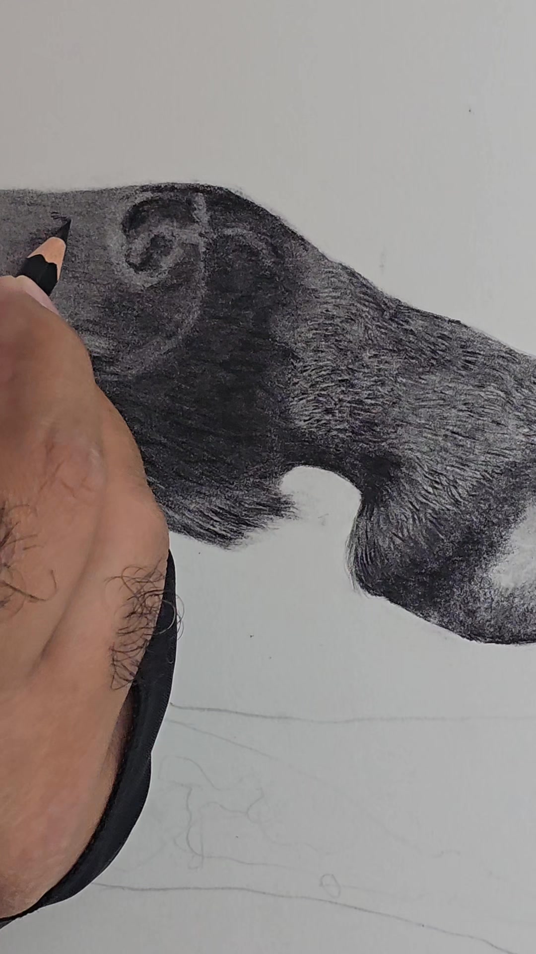 From blank paper to powerful form 🐎 Watch this horse drawing come alive ...