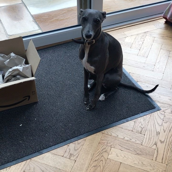 This time we’ve used the @amazon box to good effect for a snuggle box ...