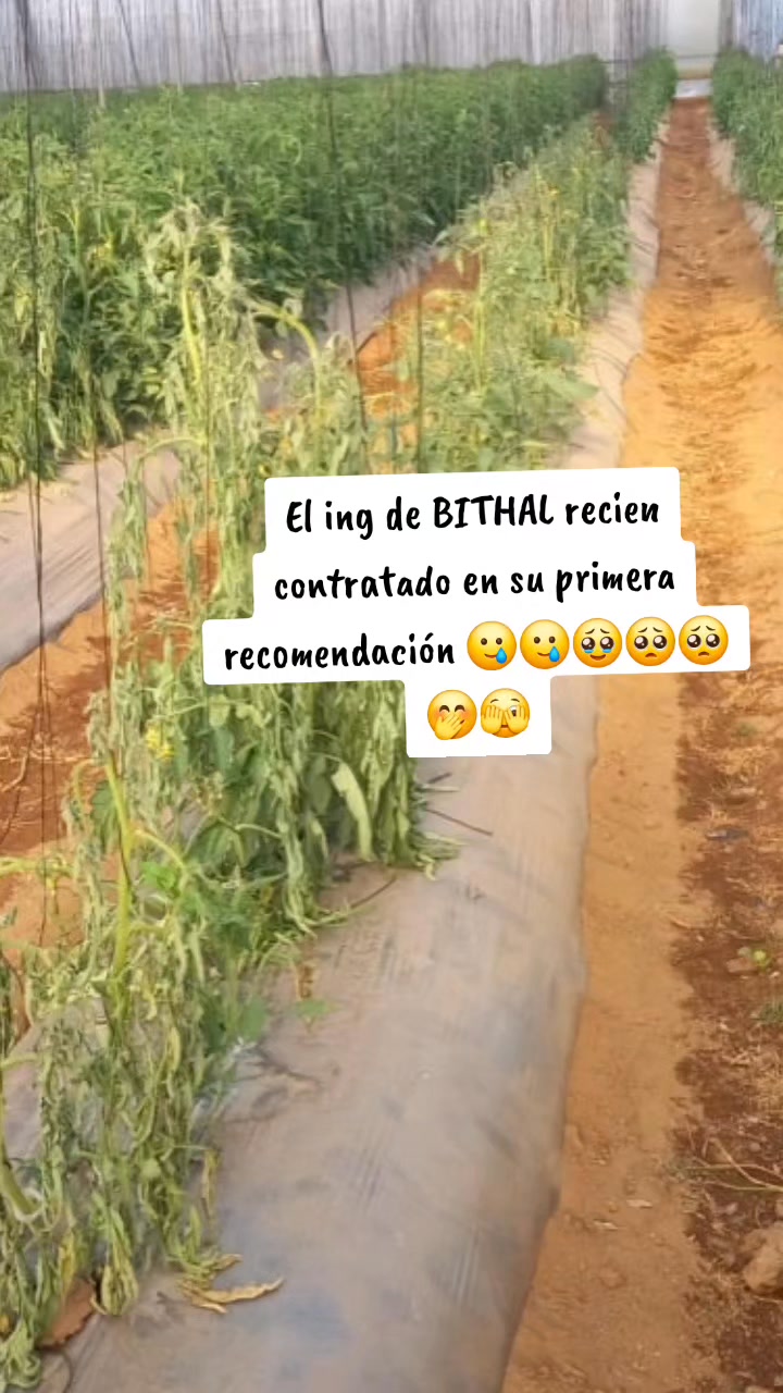 Déjanos en los comentarios tu primer experiencia como agrónomo en campo ...