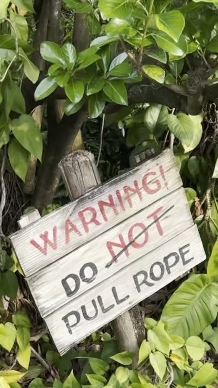 Rando Video! Warning! Do Not Pull the Rope at Indiana Jones Stunt Show ...