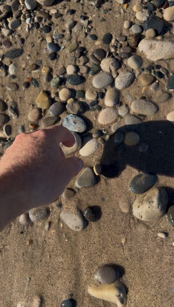 Pretty piece of Lake Michigan schist #rocks #stone # #rockhounding # ...