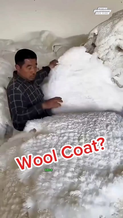 Ever wondered how your soft, cozy wool coat starts its life? 🤔 It all ...