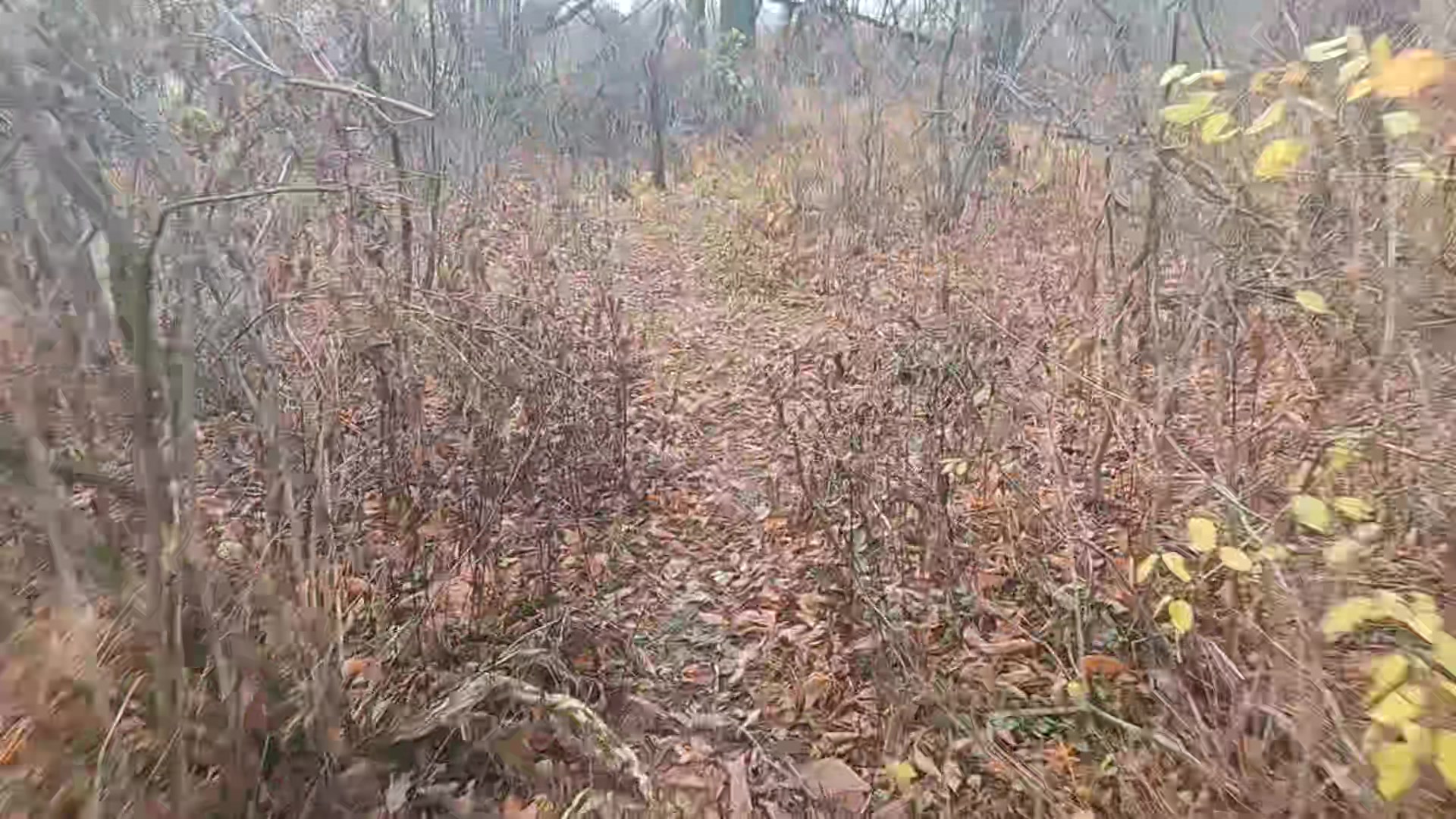 Warren Highlands Trail passing through the Farmers Fairgrounds and ...