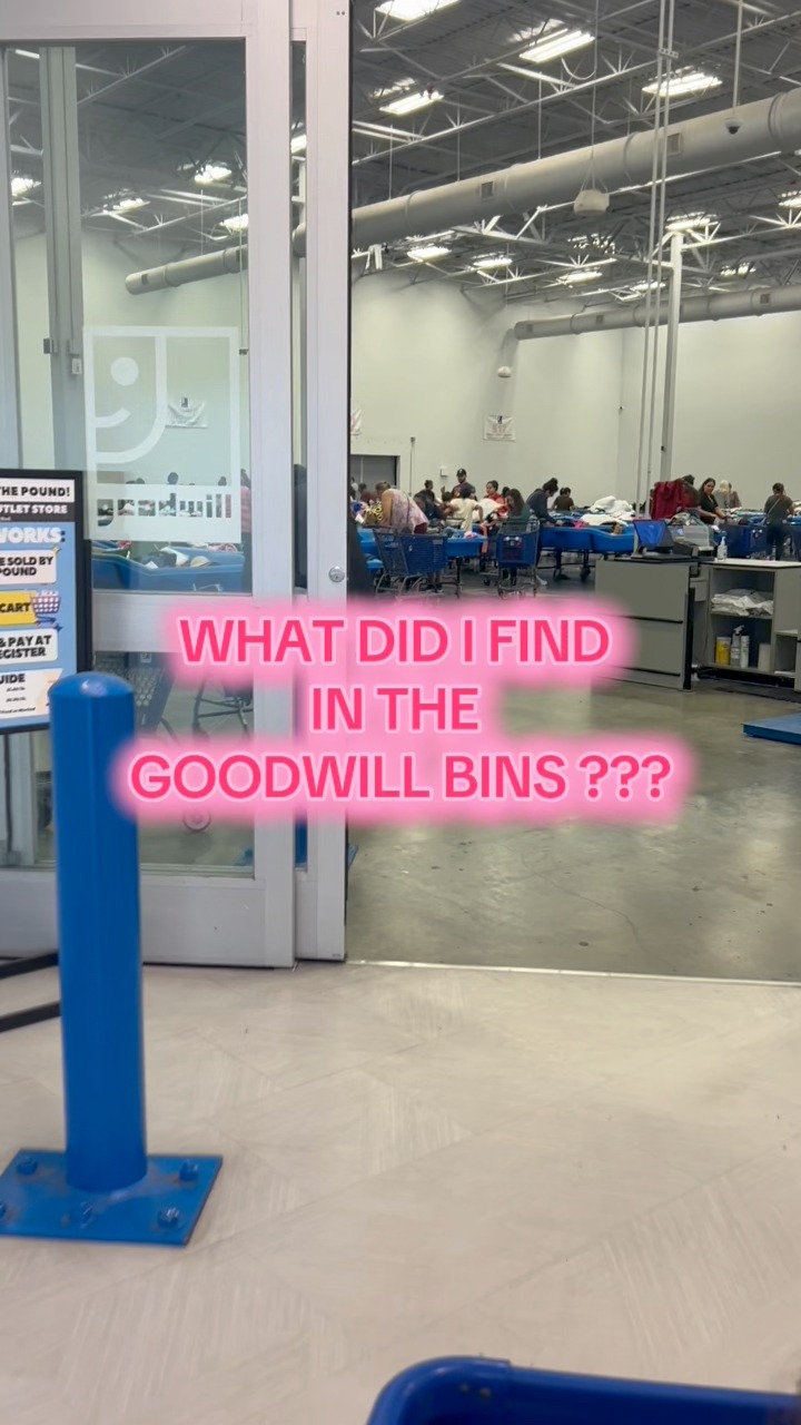 WHAT DID I FIND IN THE GOODWILL BINS?? #goodwill #goodwillbins # ...