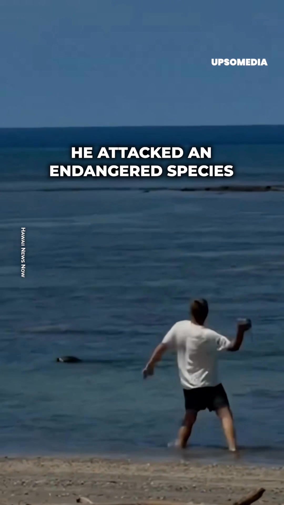 An arrogant tourist thought he had the freedom to attack Lani, a