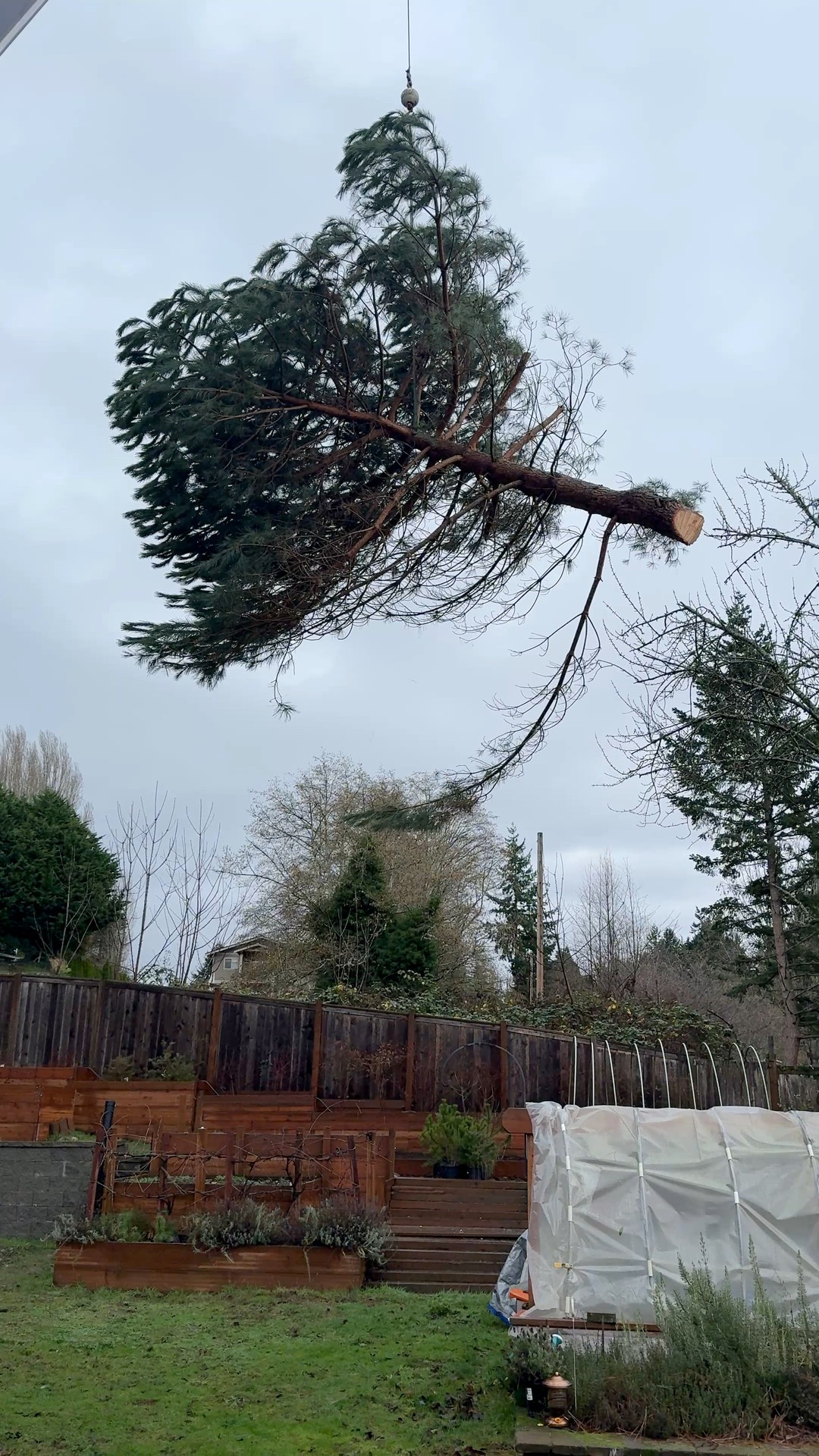 Ever seen a flying tree? 🌲 ️ Here’s an emergency tree removal we ...