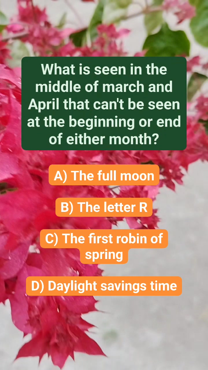 #riddle #puzzle #reels | Puzzle Point 2.0 | Facebook