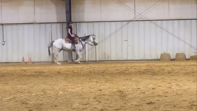 Price Improvement EYE GOT YOU BABE 2022 mare by EASY on the EYEZ. 15.2 ...