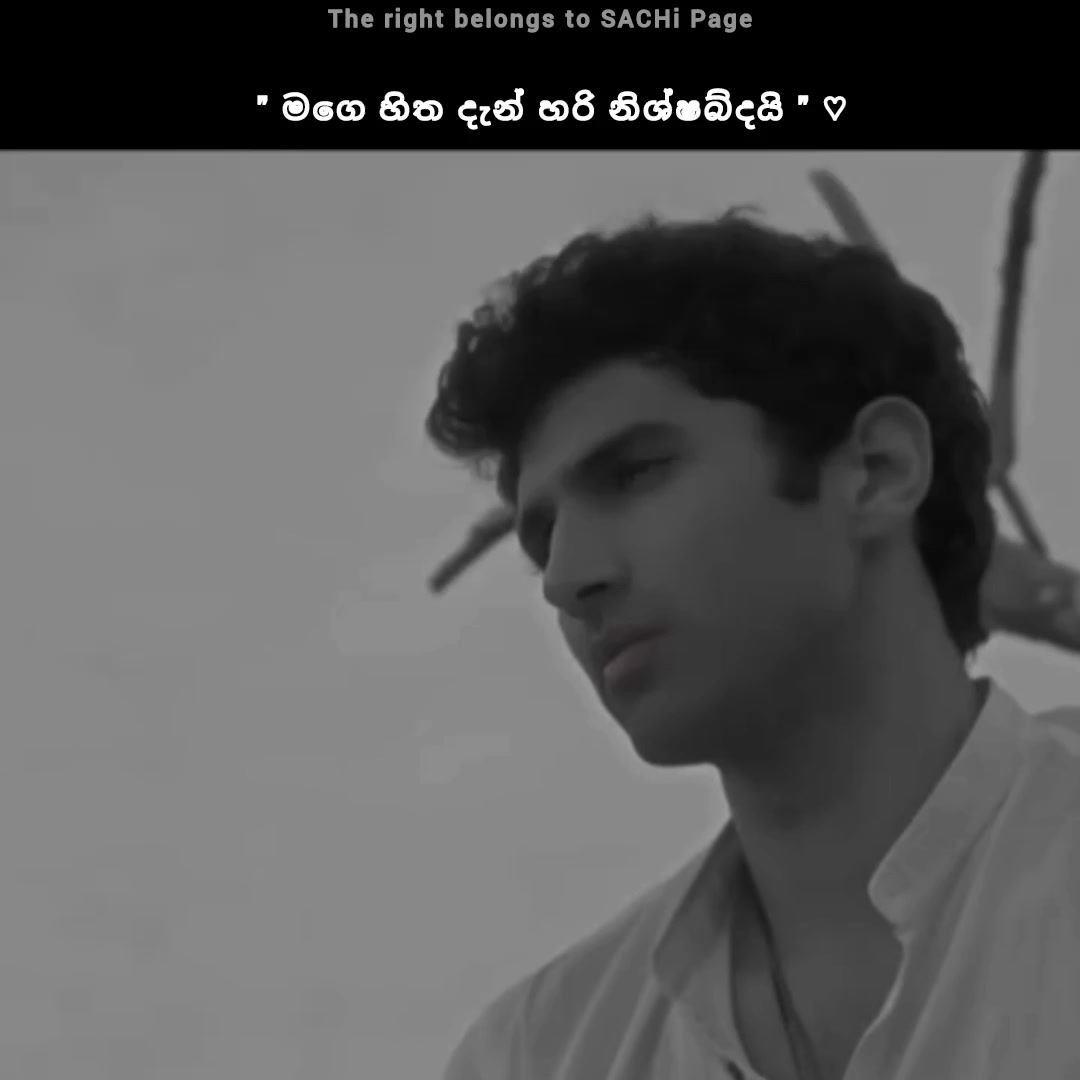 Sachi-සචි