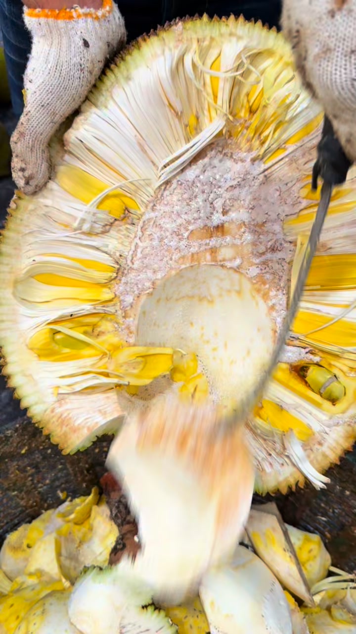 Check this out! Here’s how I remove the core. This jackfruit is still ...