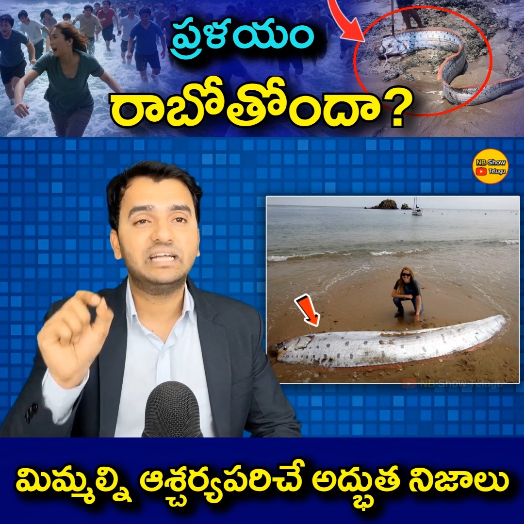 #oarfish #mexico #beach #fish #doomsday #facts #telugu | Naresh Bukya ...