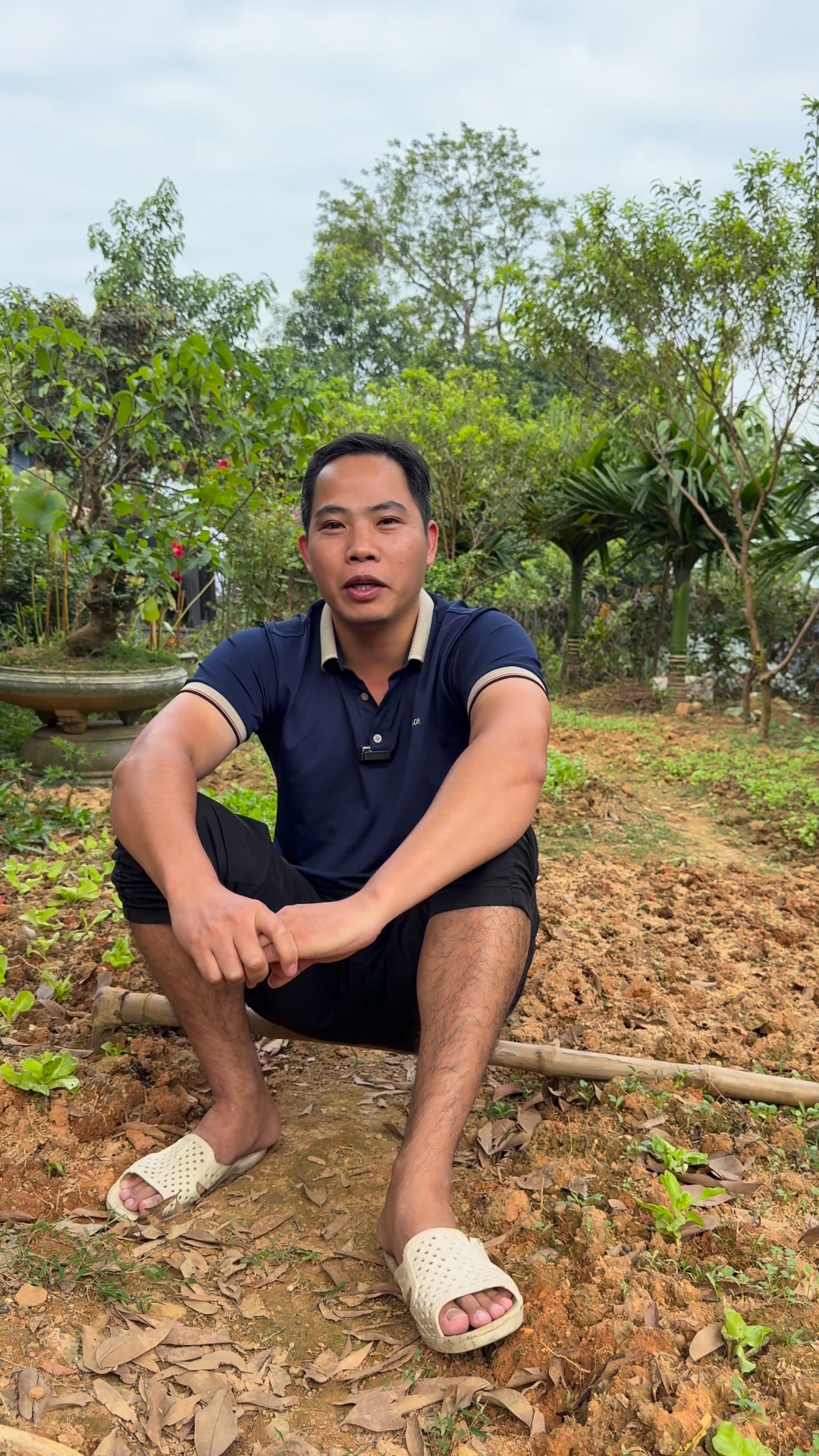 Các bác cho ý kiến ạ #xuhuong #xuhuongfb | Tú Thái Nguyên | Facebook