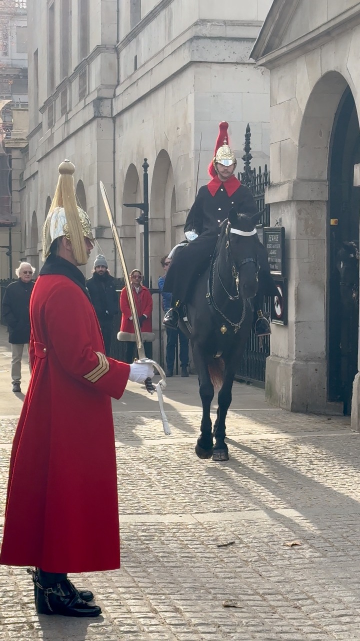 Magnificent!” #london #horseguardsparade #regalhorses #kingsguards # ...