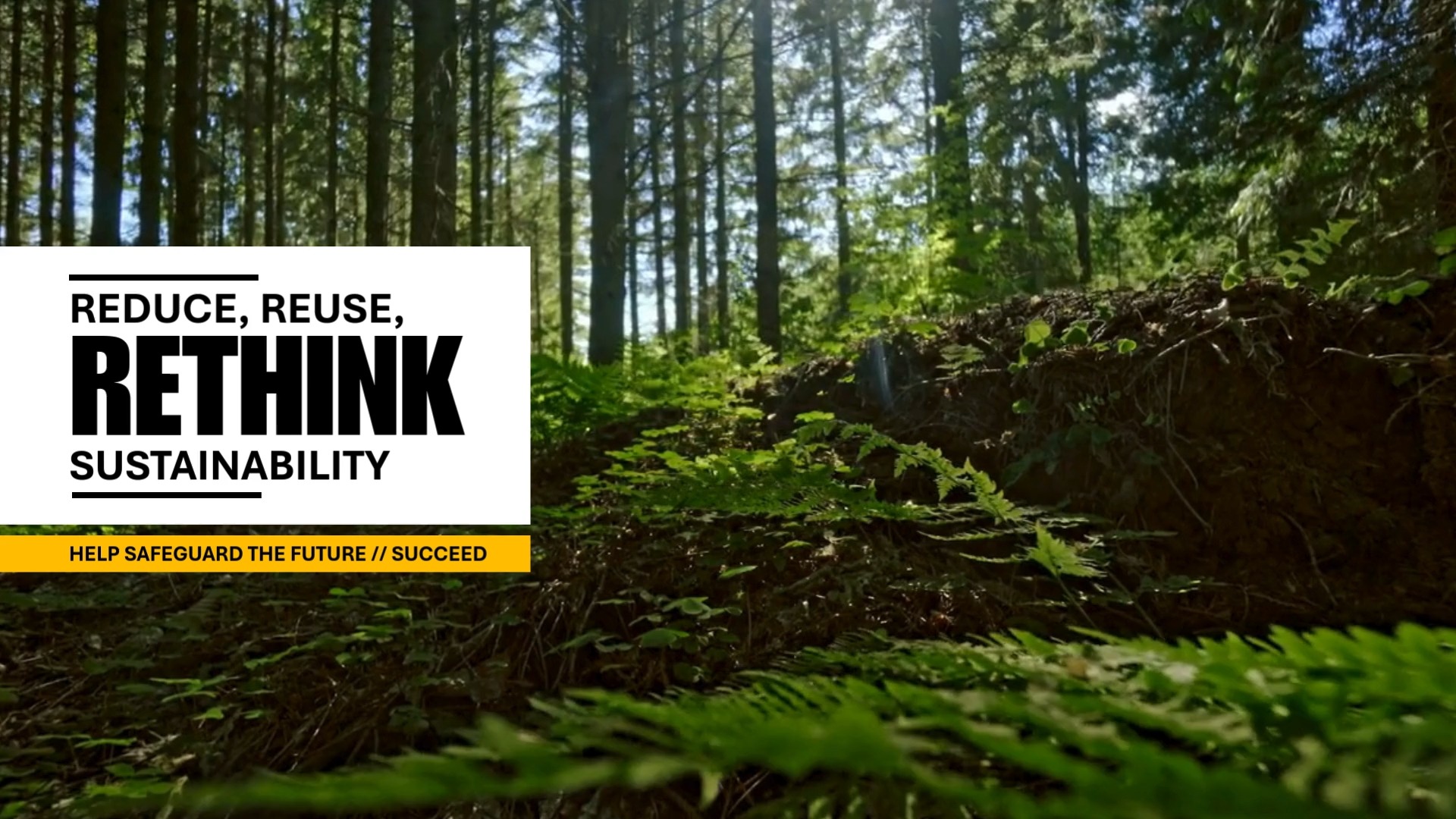 Engineering that has broken boundaries in sustainability practices ...