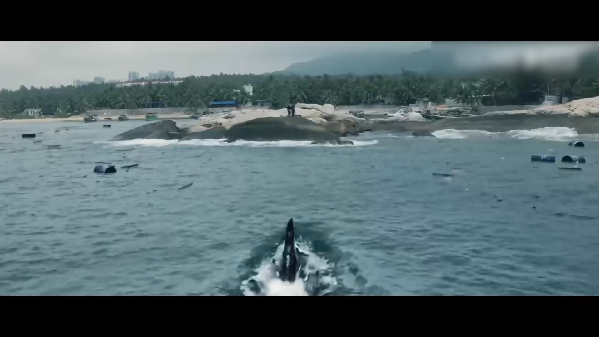The shark jumped onto the land, stunning the father and son, and then ...