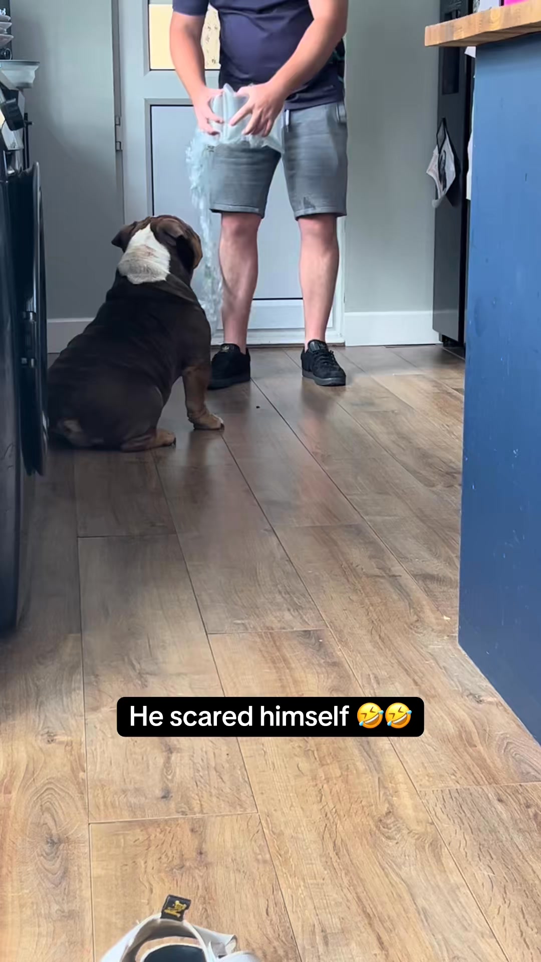 Replying to Midlife Crisis well that works 😂#gary #bulldog # ...