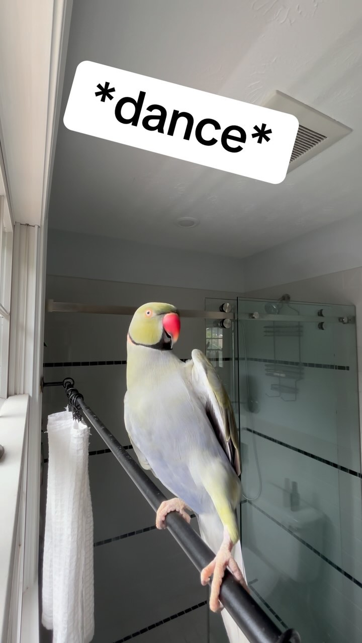 Beaker’s bringing out all the moves for Friday! #friday # ...