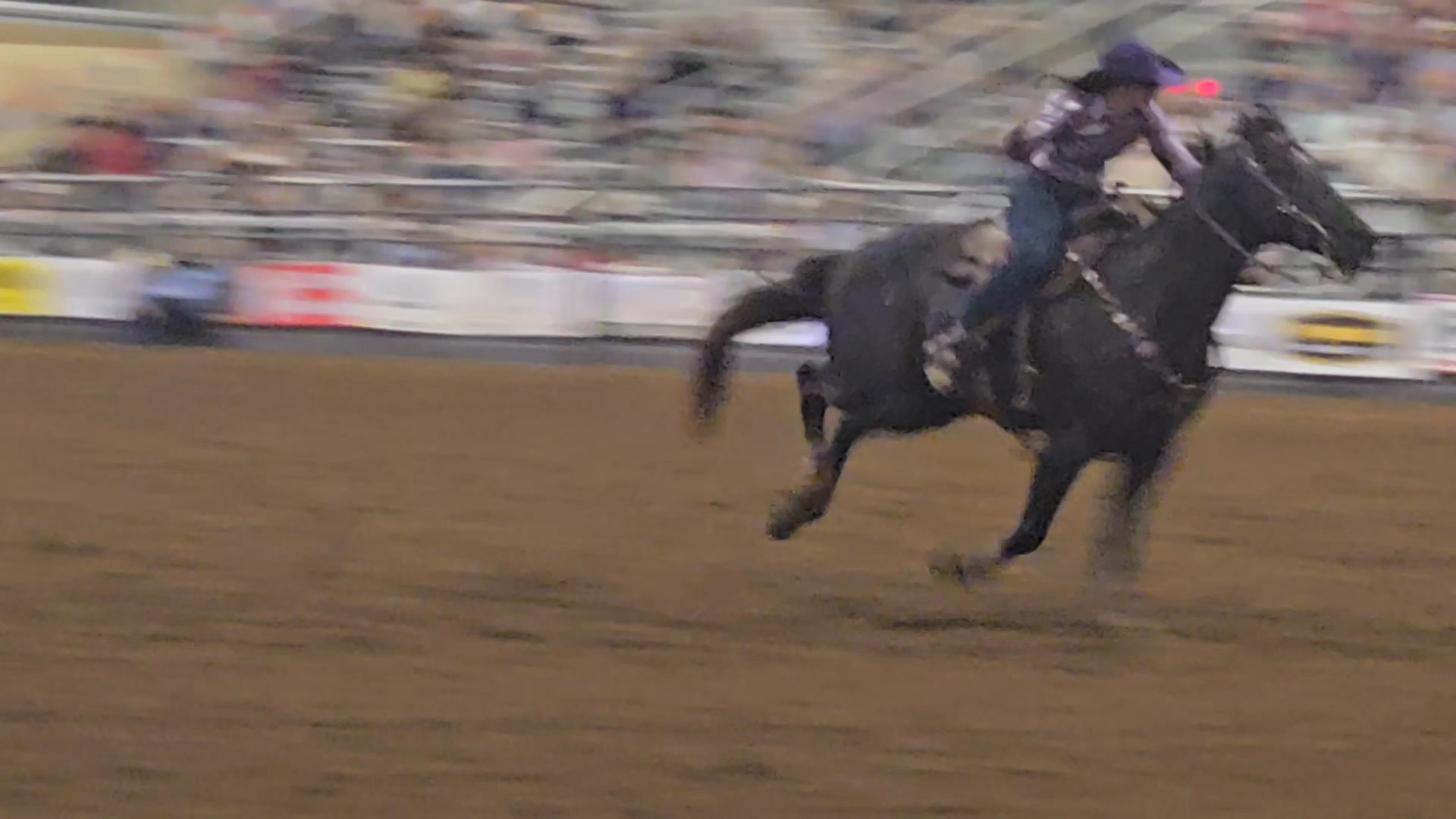😍😍😍First ever rodeo on Thursday night for the big man! It might have ...