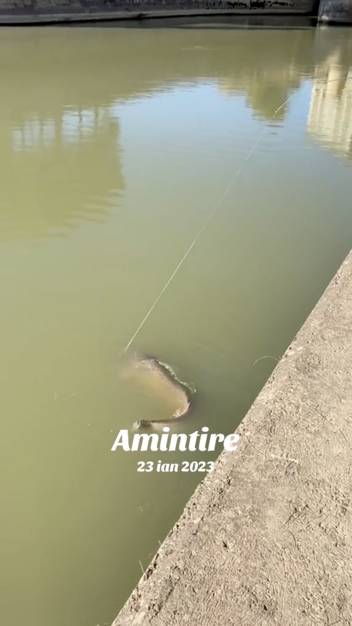 Super amintire cu un 2m+🐟🎣 . . . #fish #fishing #fishinglife # ...